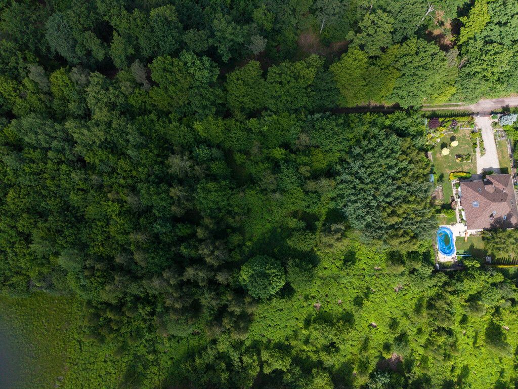 Działka - 1500 m² - Ksawerów