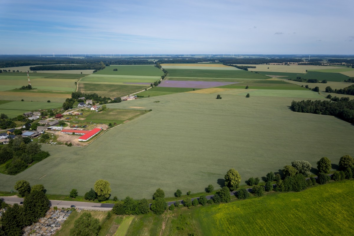 Plot - 90125 m² - Białuty