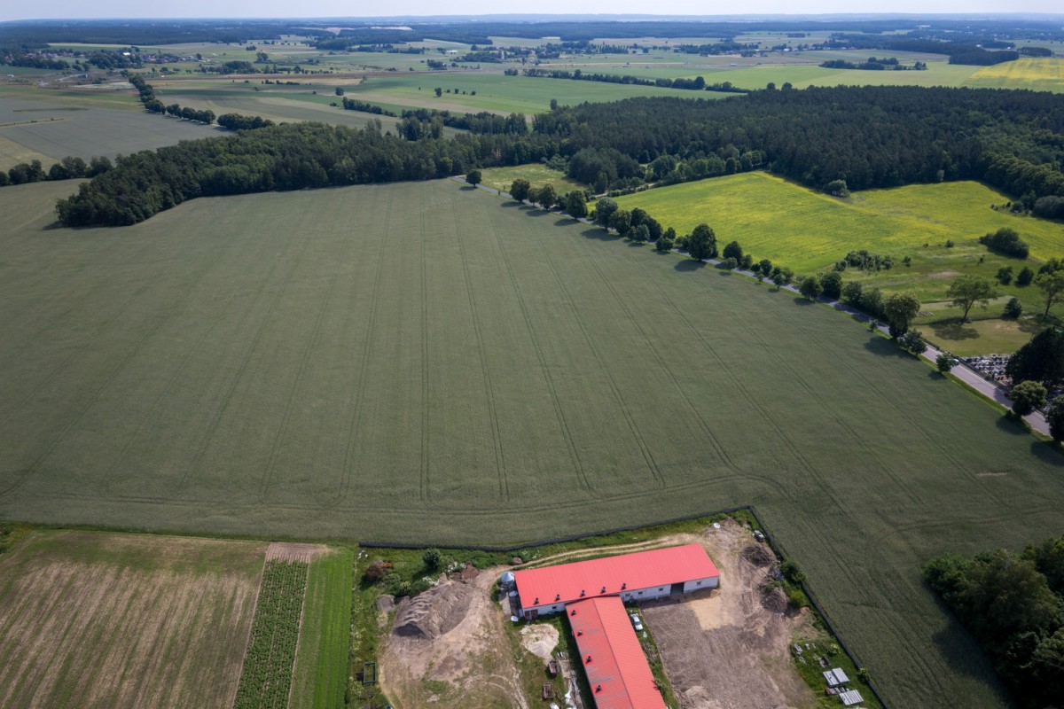 Plot - 90125 m² - Białuty
