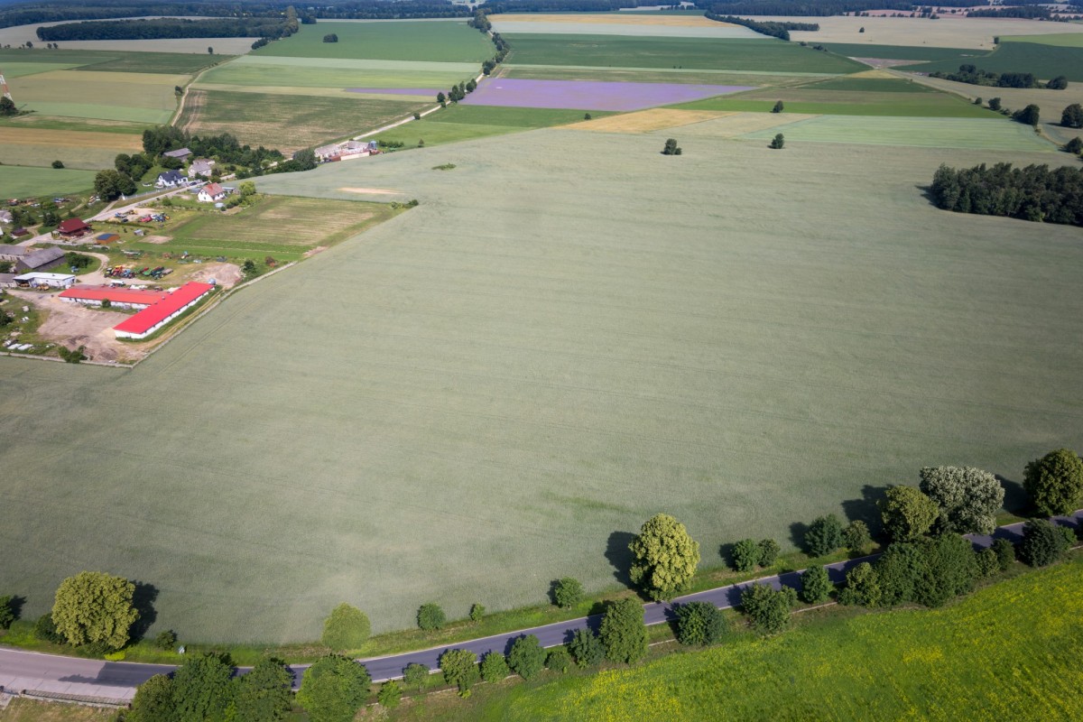 Plot - 90125 m² - Białuty