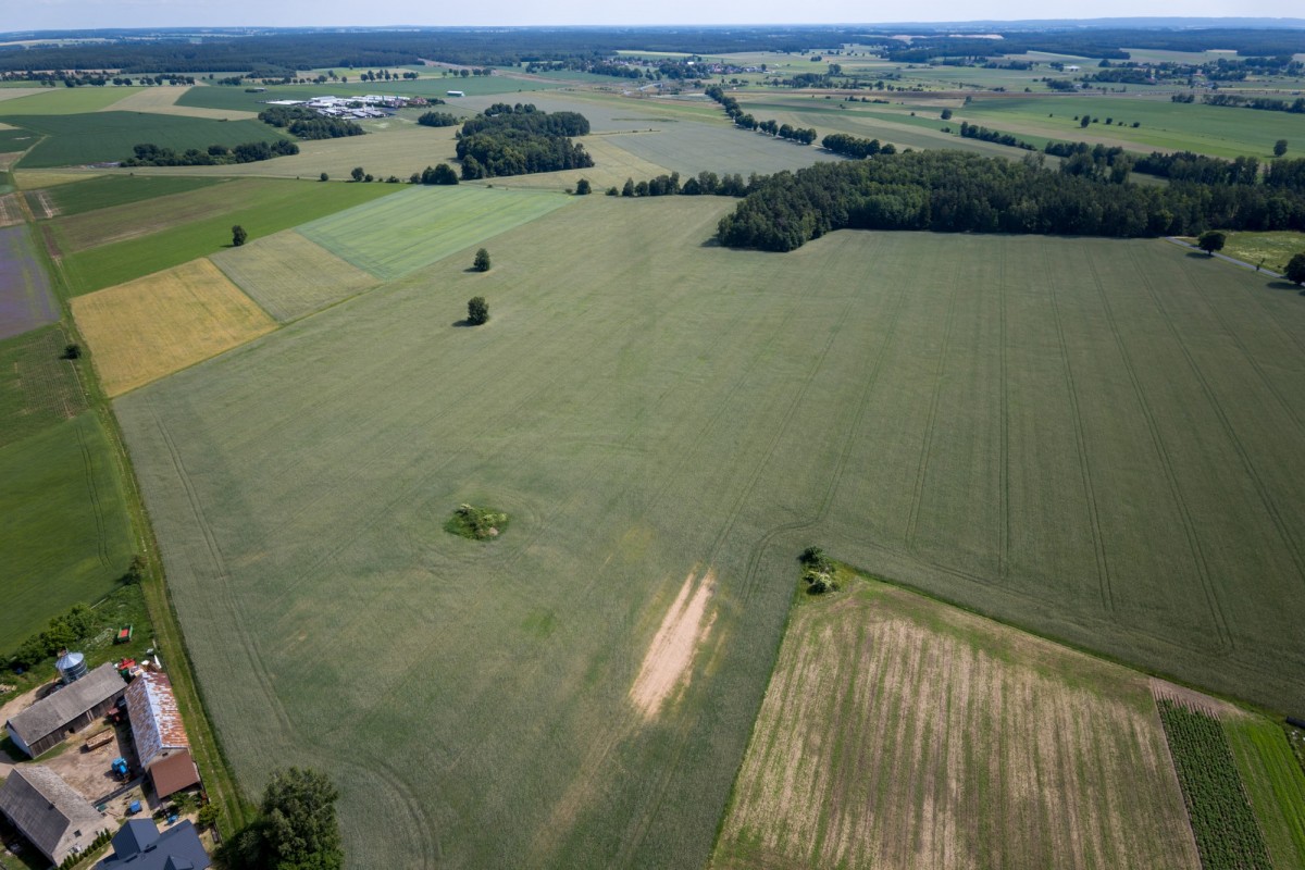 Plot - 90125 m² - Białuty