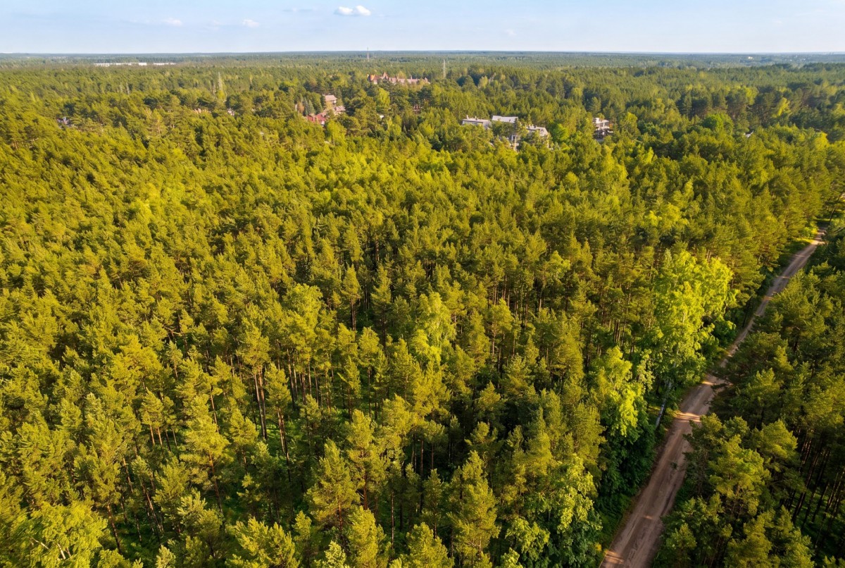 Plot - 10458 m² - Adama Mickiewicza Street Warsaw Wesoła Groszówka