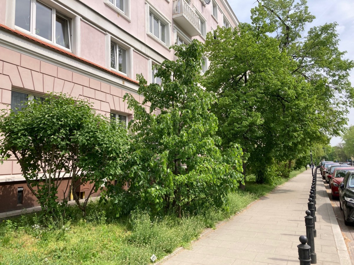 Mieszkanie - 1 pokój - 37 m² - ul. Nowolipki Warszawa Śródmieście