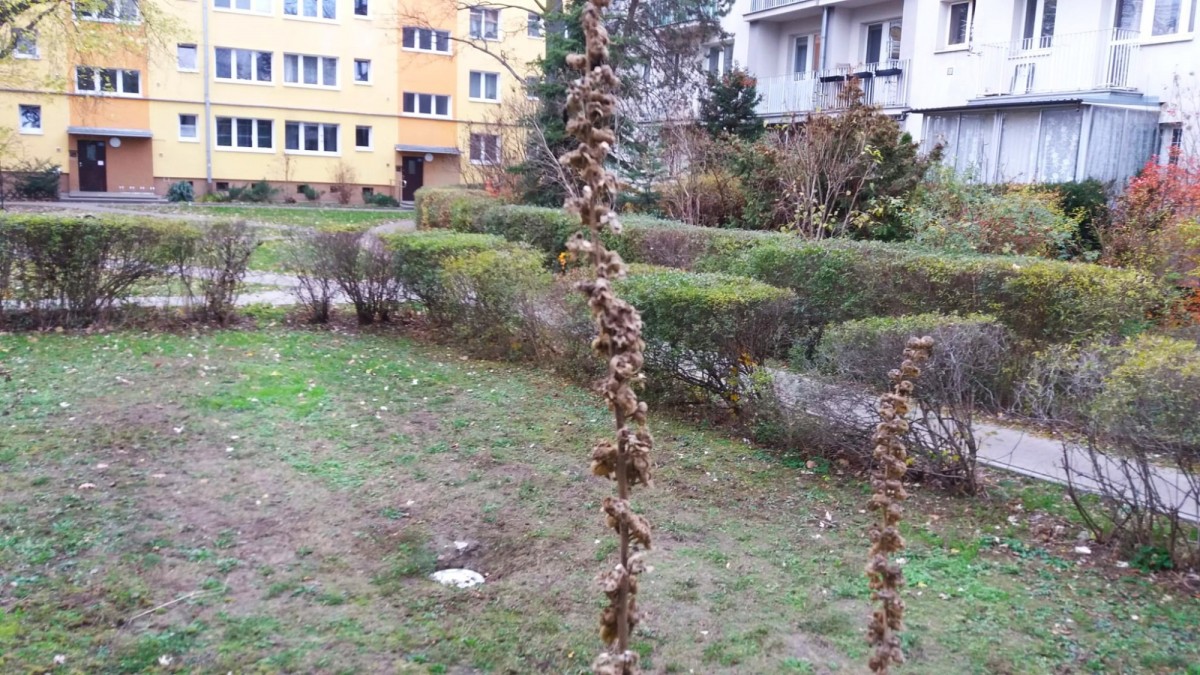 Wohnung - 2 Zimmer - 38 m² - ul. Białowieska Warszawa Praga-Południe Grochów