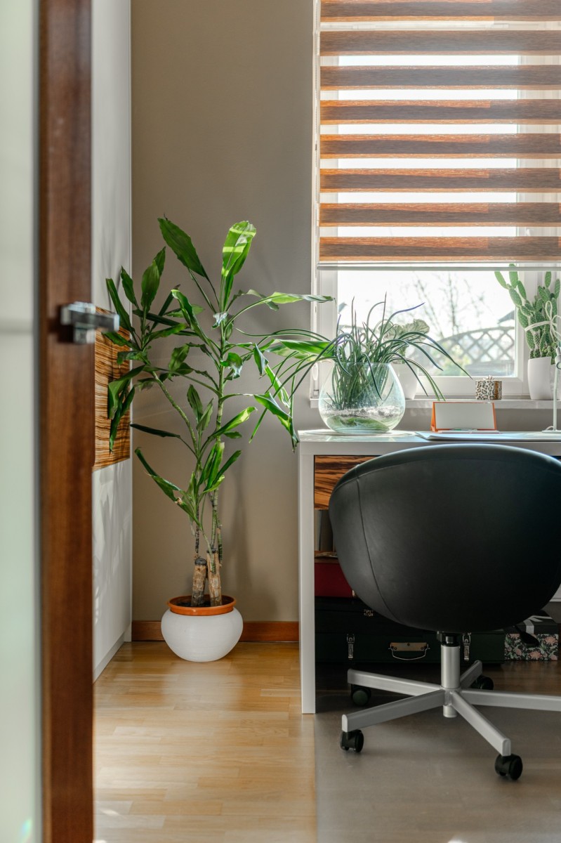 Квартира в Warszawa Mokotów | 4 комнаты | 166.4 м²