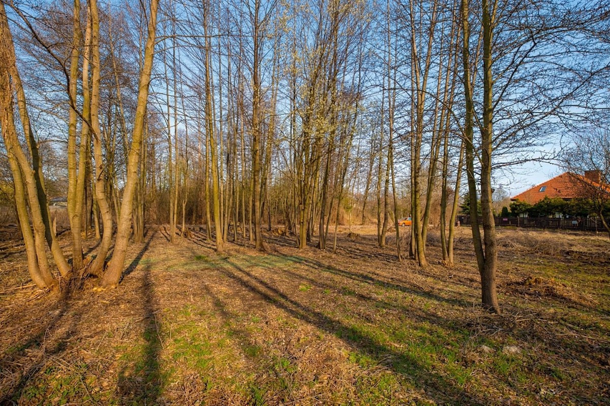 Mieszkanie - 1128 m² - ul. Sielska Warszawa Białołęka