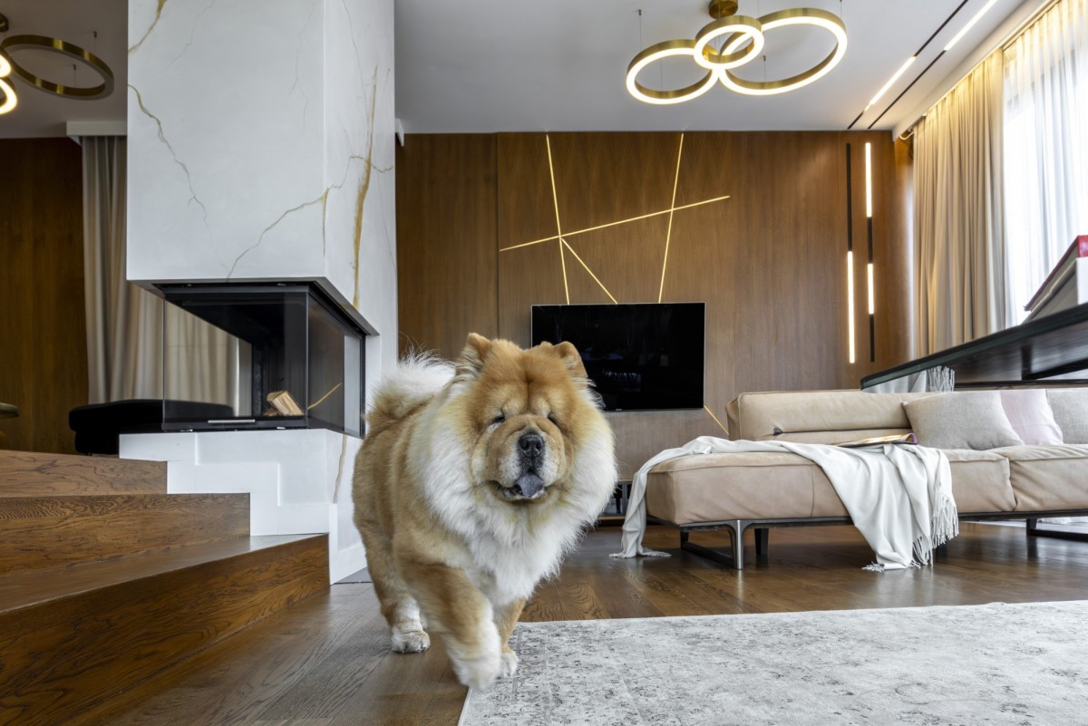 Dom - 5 pokoi - 235 m² - ul. Wiedeńska Warszawa Wilanów