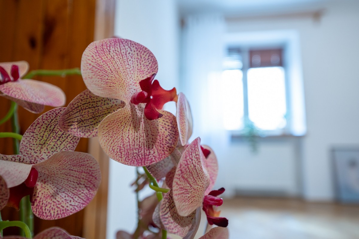 Eigentumswohnung in Wola Młynów - 1 Zimmer - 27,7 m²