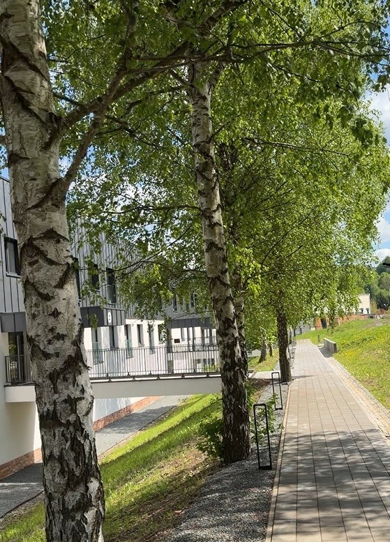 Mieszkanie - 2 pokoje - 46 m² - ul. Polna Duszniki-Zdrój