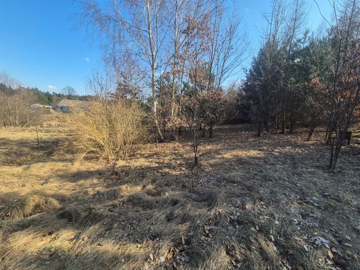 Mieszkanie - 502 m² - Nowy Jasiniec