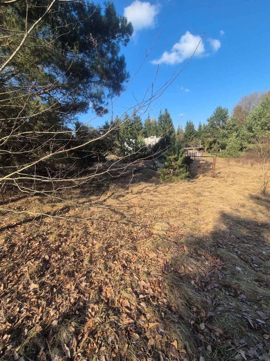 Mieszkanie - 502 m² - Nowy Jasiniec
