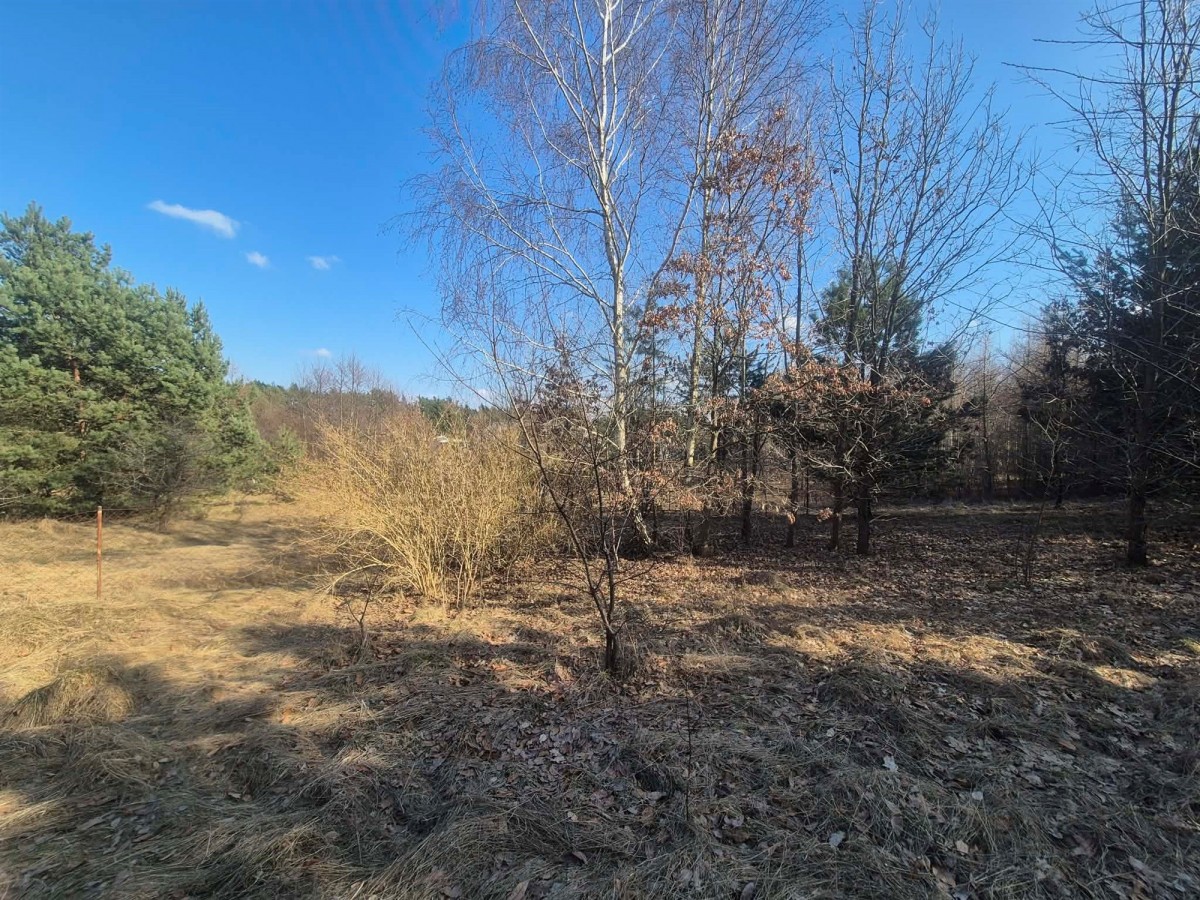 Mieszkanie - 502 m² - Nowy Jasiniec