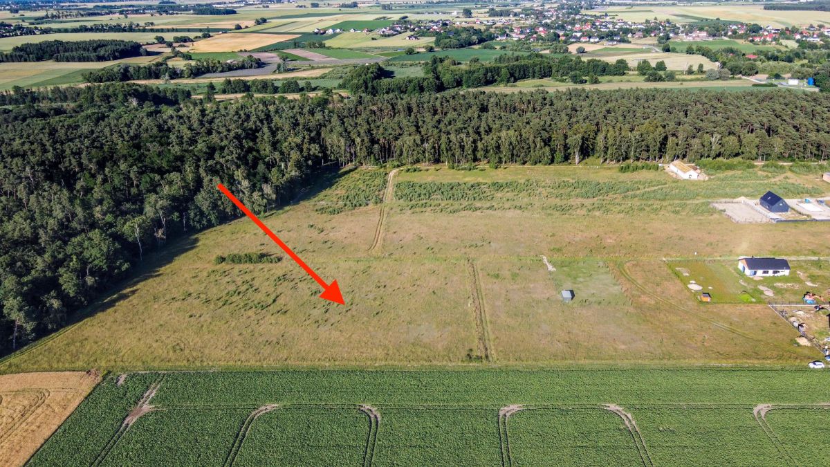 Mieszkanie - 933 m² - Nieczajna