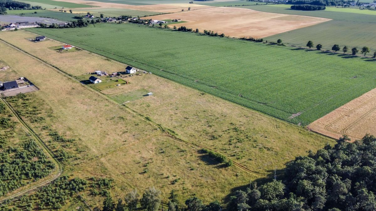 Mieszkanie - 933 m² - Nieczajna