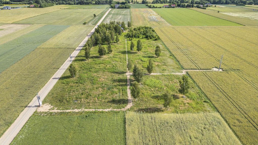 Участок - 3000 м² - Пробощевице