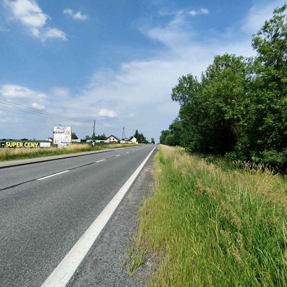 Plot - 6423 m² - Rybnicka Wilcza St.