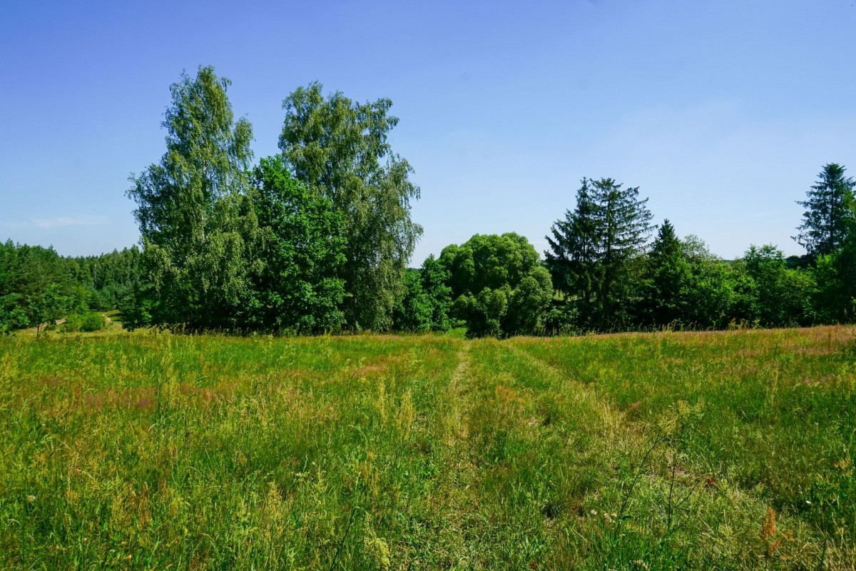 Ділянка - 3483 м² - Сулішев