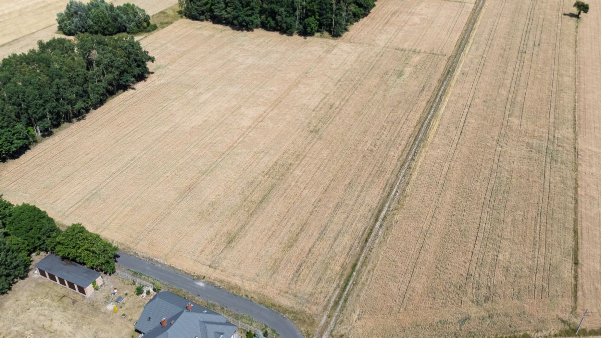 Działka - 1012 m² - Pratków