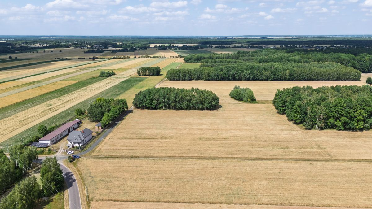 Działka - 1012 m² - Pratków