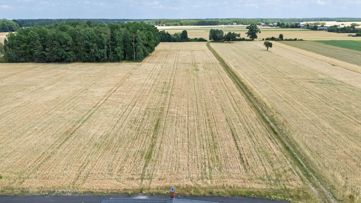 Działka - 1012 m² - Pratków