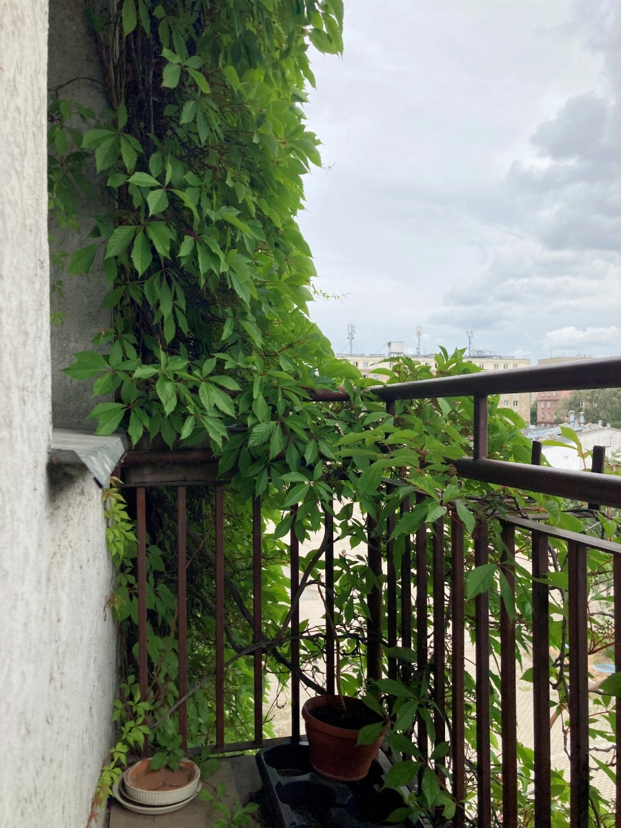 Apartment - 2 rooms - 66 m² - Ratuszowa St. Warsaw Praga-North