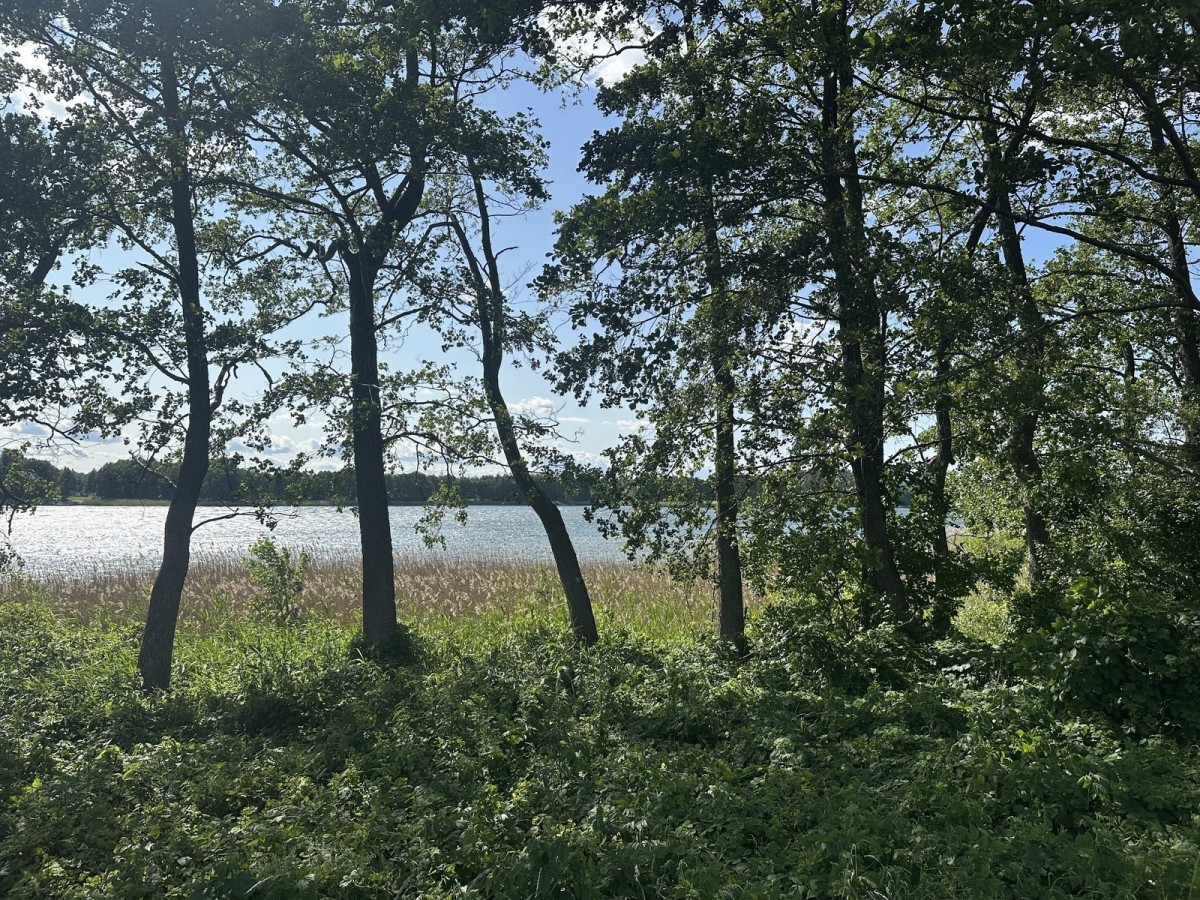 Plot - 3636 m² - Kosewo