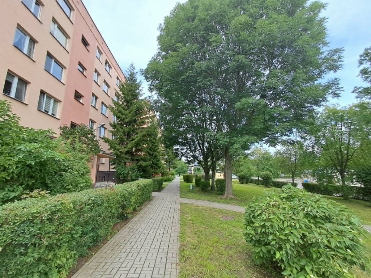아파트 - 3개 방 - 51 m² - ul. Gwardii Ludowej WRN Ciechanów