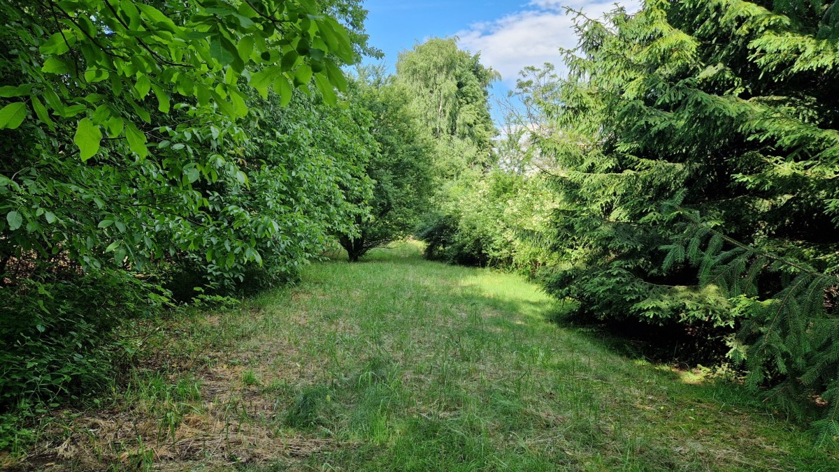부지 - 1445 m² - 코츠미르주