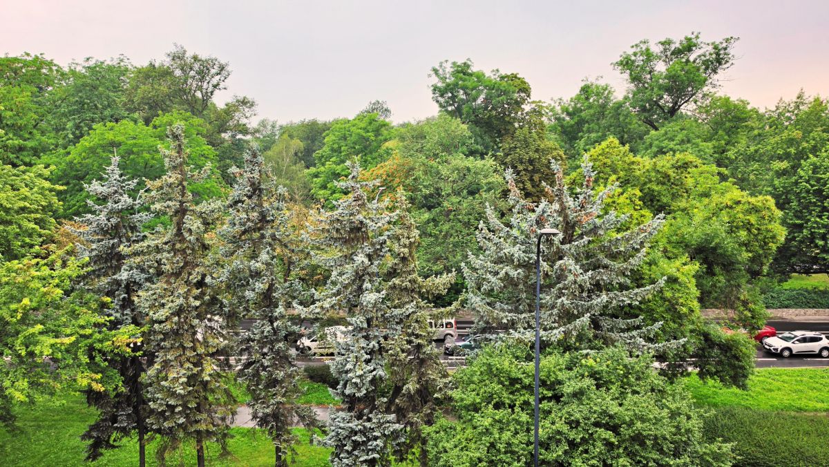 Appartamento - 2 stanze - 64 m² - al. Adama Mickiewicza Kraków Piasek
