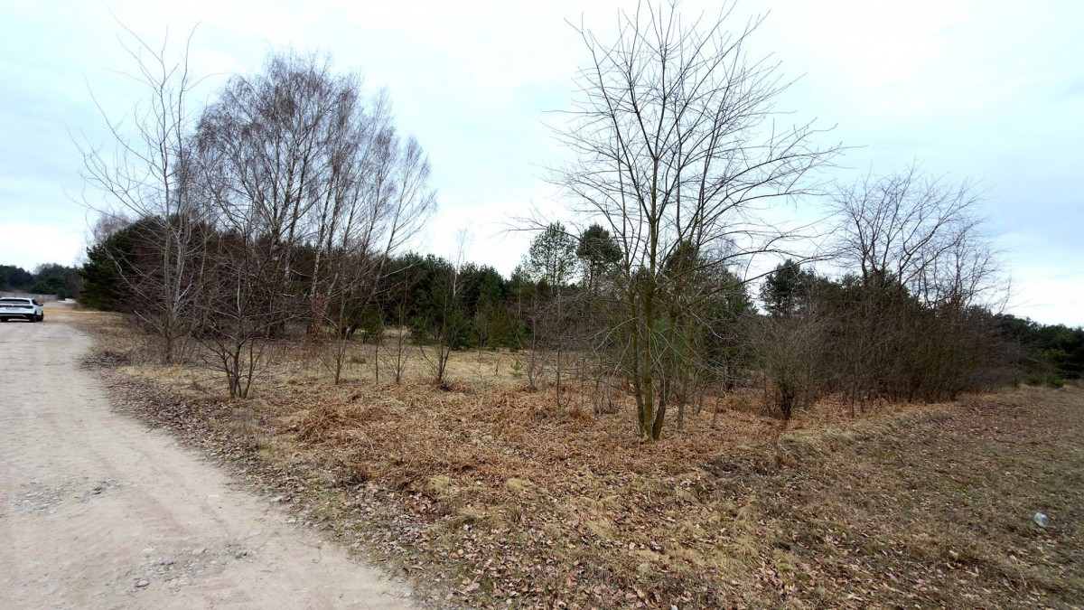 Terreno - 10100 m² - Strobów
