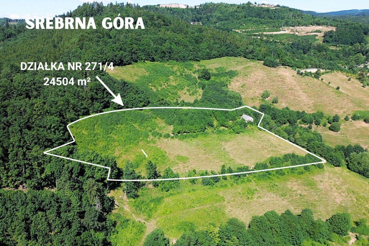Plot - 24504 m² - Srebrna Góra