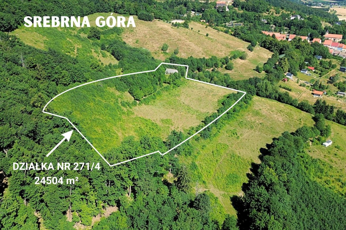 Plot - 24504 m² - Srebrna Góra