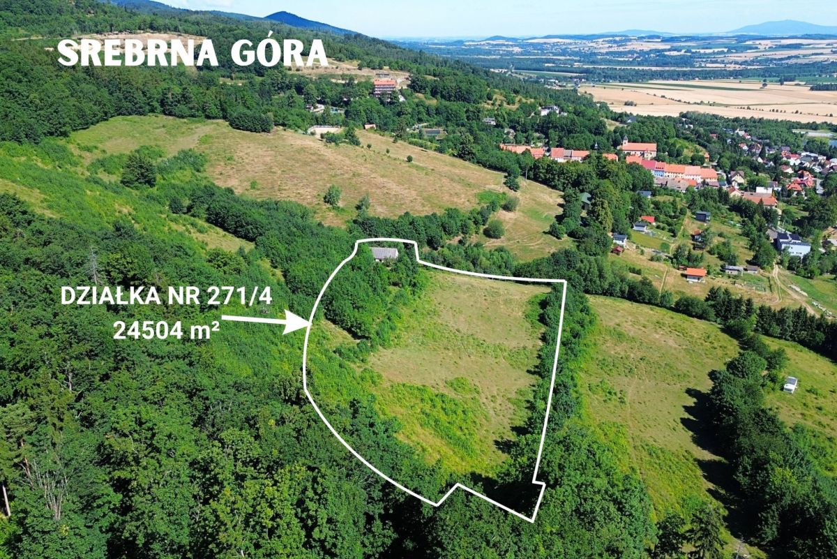 Plot - 24504 m² - Srebrna Góra