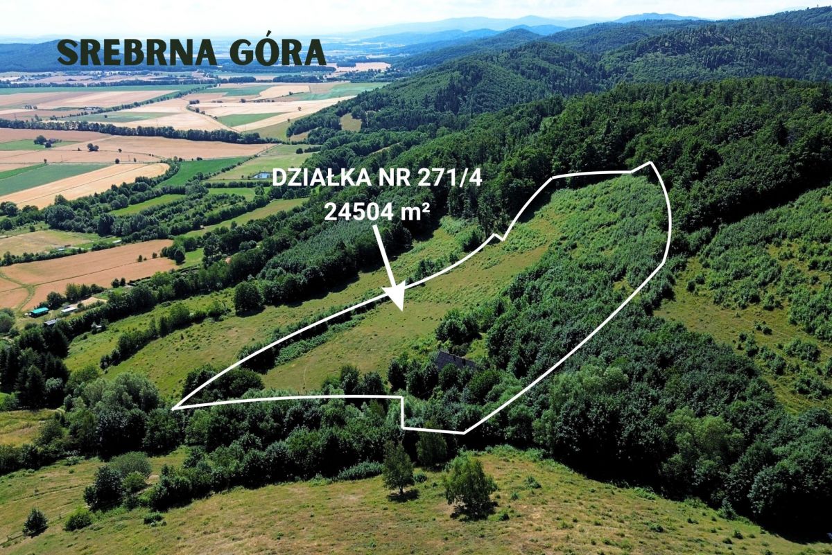 Plot - 24504 m² - Srebrna Góra