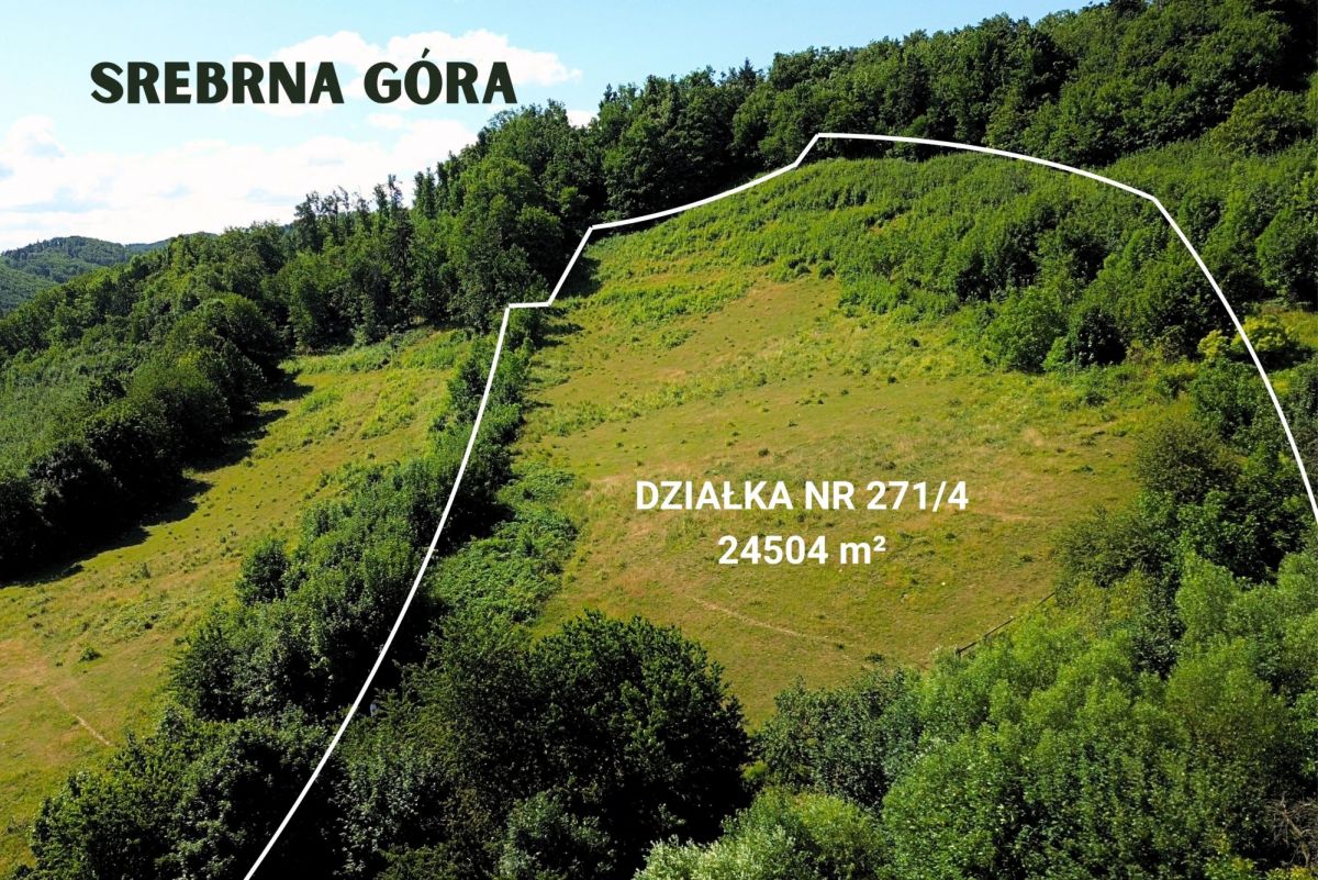 Plot - 24504 m² - Srebrna Góra