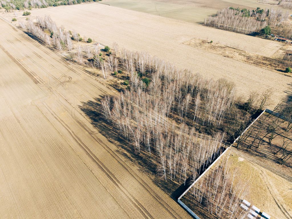 Plot - 1203 m² - Tymianka