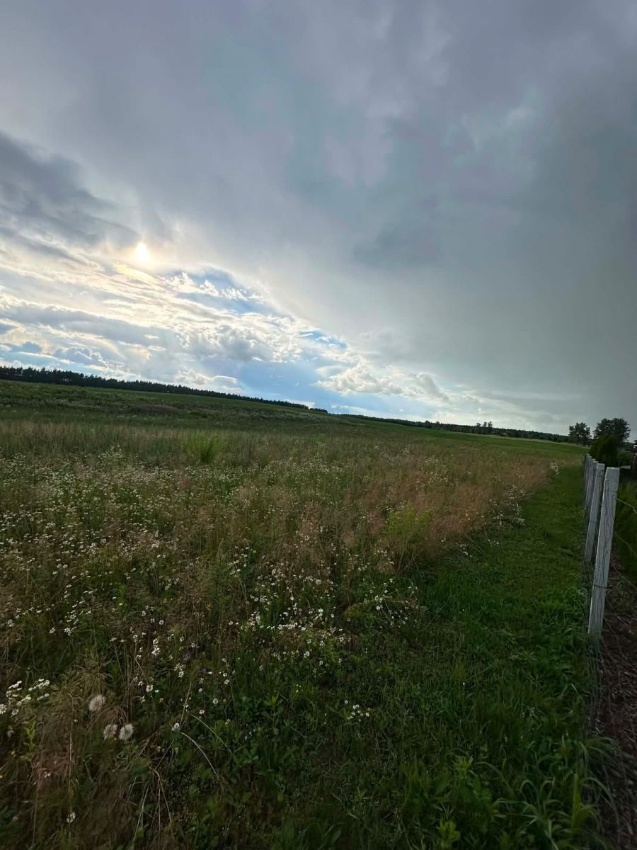 Plot - 3451 m² - Możne