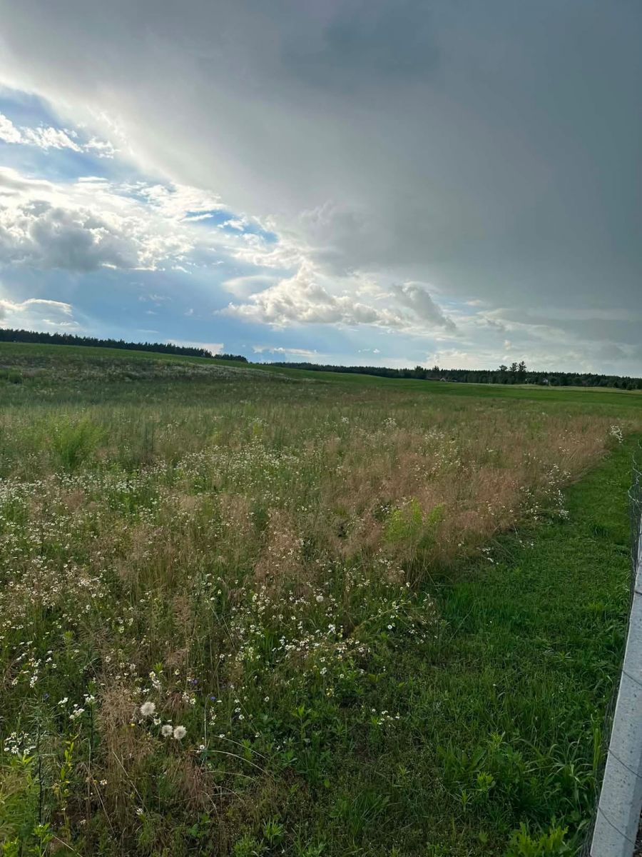 Plot - 3451 m² - Możne