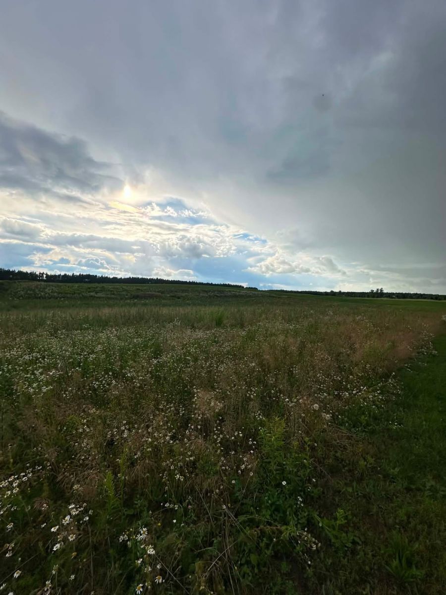 Plot - 3451 m² - Możne