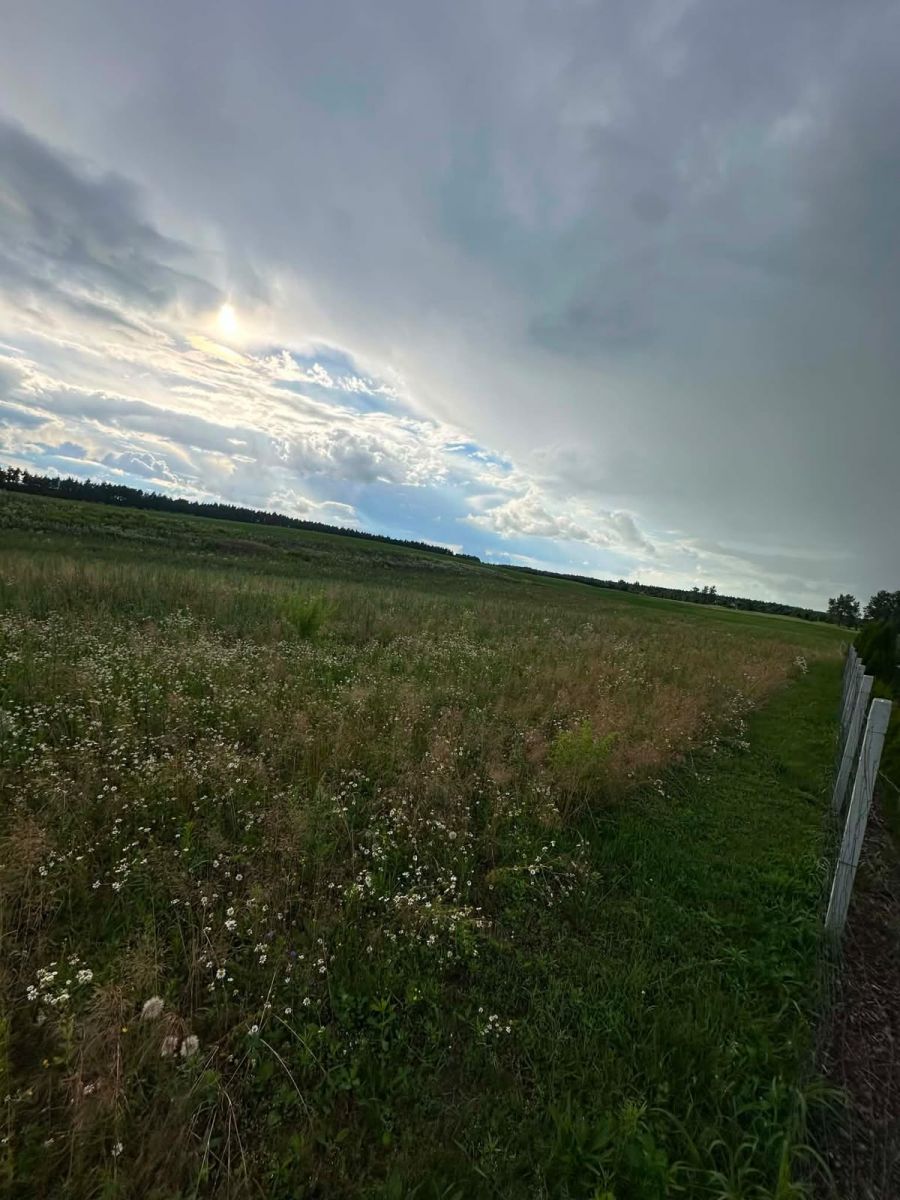 Plot - 3451 m² - Możne