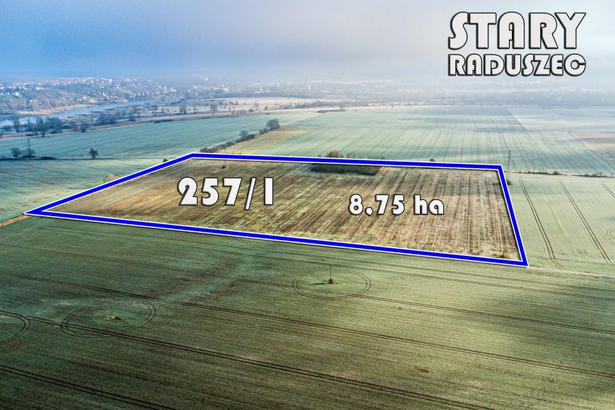 Участок - 87500 м² - Старый Радушец