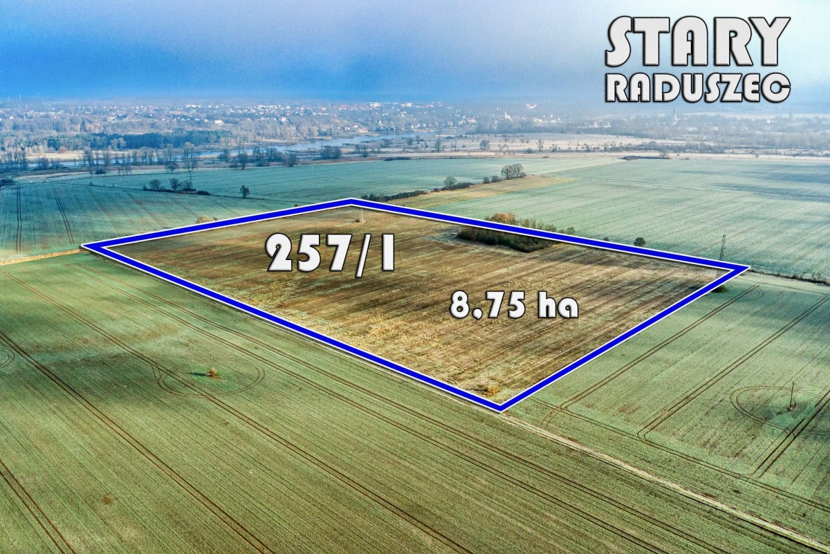 Участок - 87500 м² - Старый Радушец