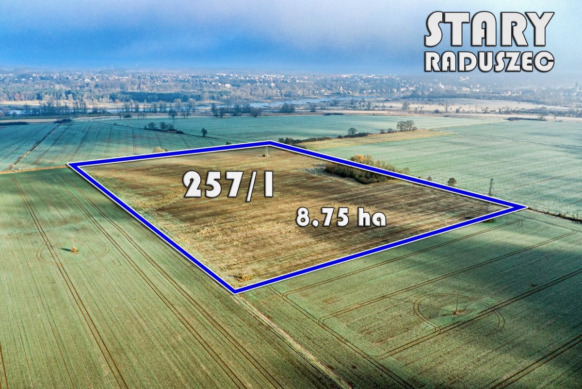 Участок - 87500 м² - Старый Радушец