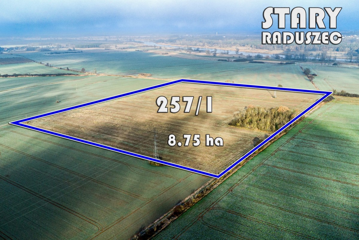 Участок - 87500 м² - Старый Радушец