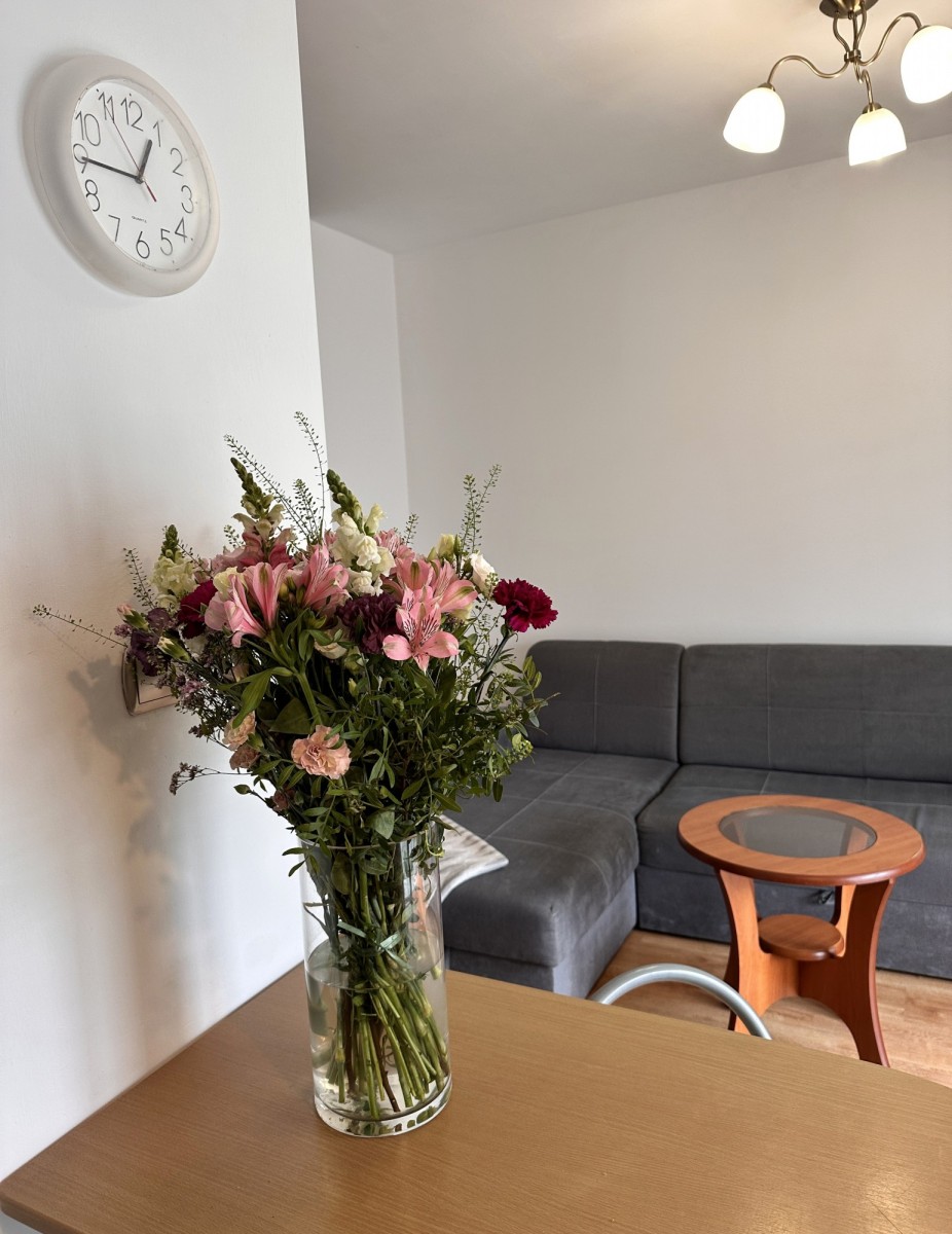 Mieszkanie - 1 pokój - 28 m² - winda - ul. Hawelańska Poznań Naramowice