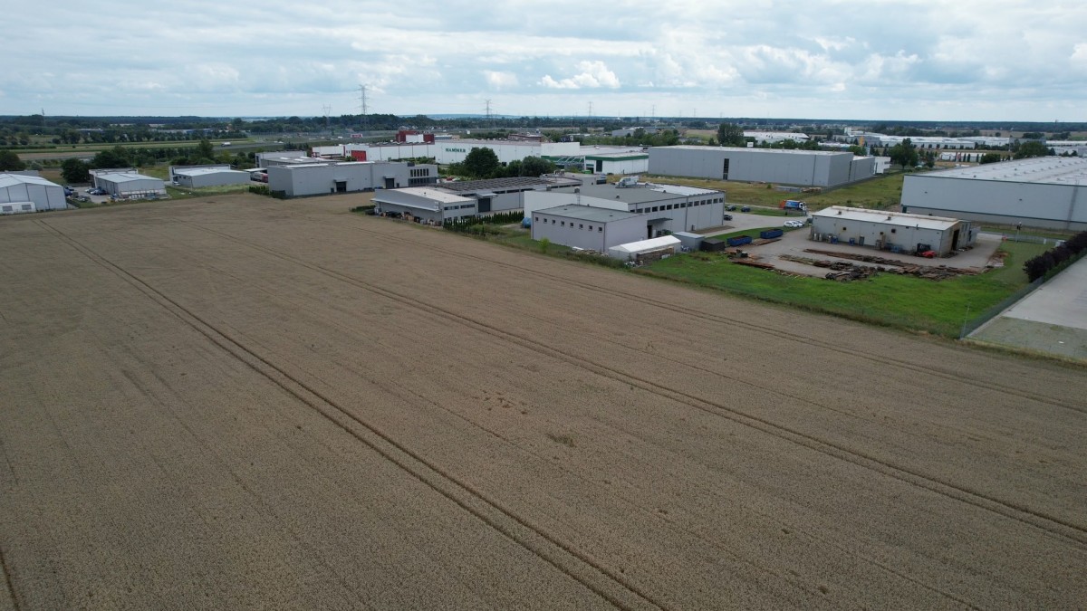 Plot - 5742 m² - Logistyczna Sady St.