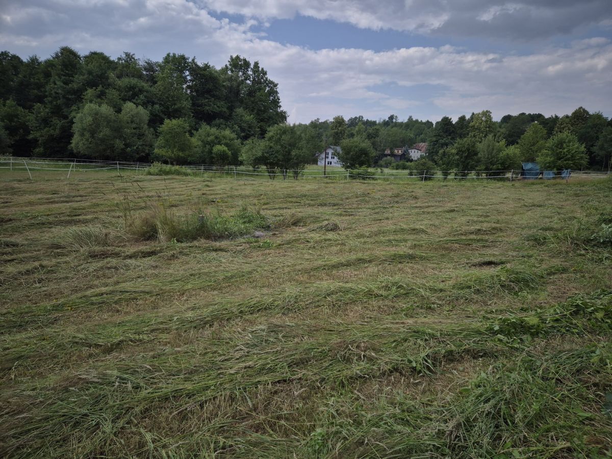 Plot - 1863 m² - Pławnica