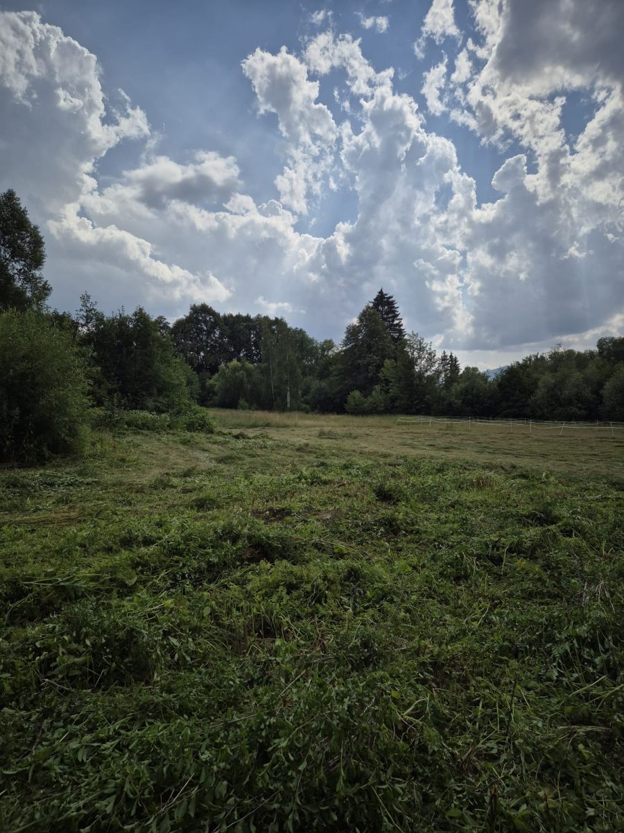 Plot - 1863 m² - Pławnica