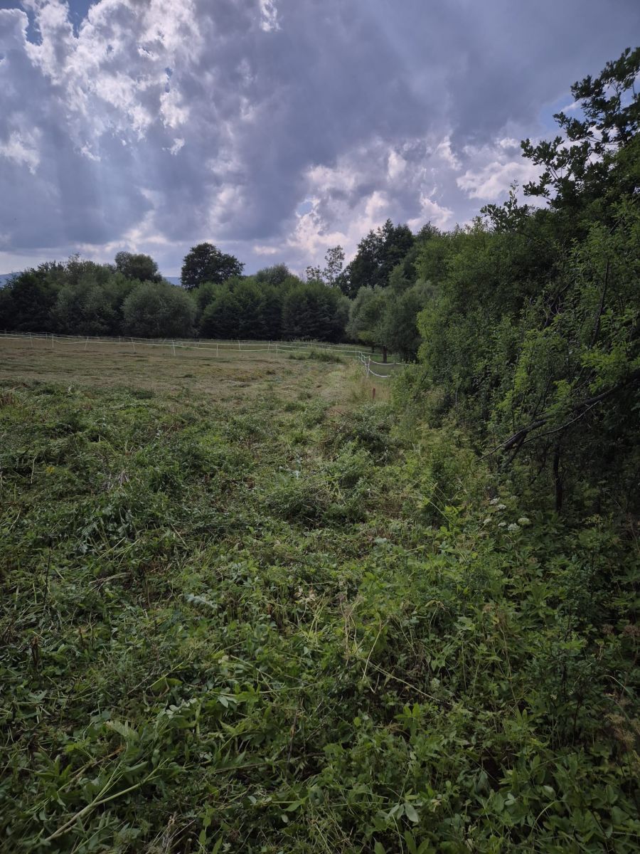 Plot - 1863 m² - Pławnica