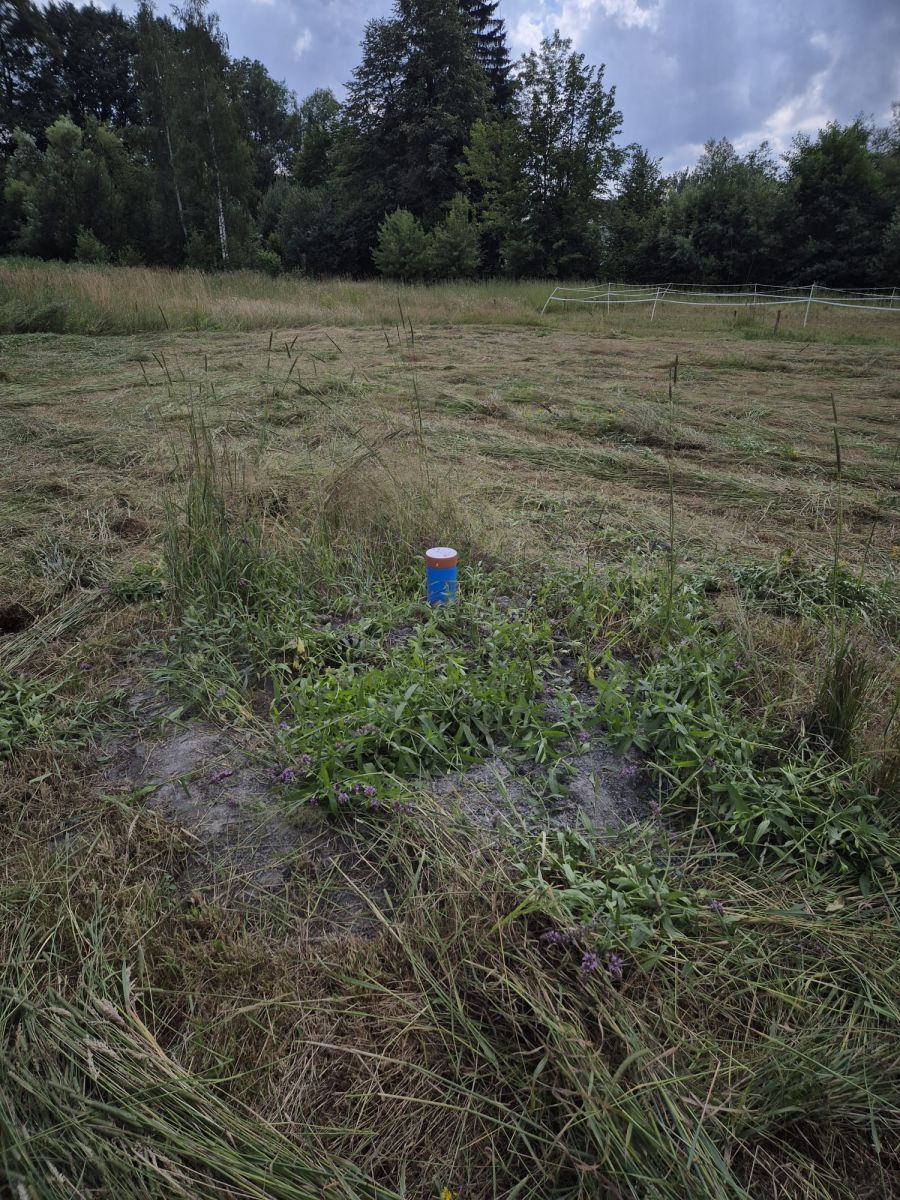 Plot - 1863 m² - Pławnica